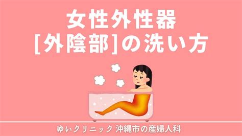 陰毛 エロ|女性の外性器